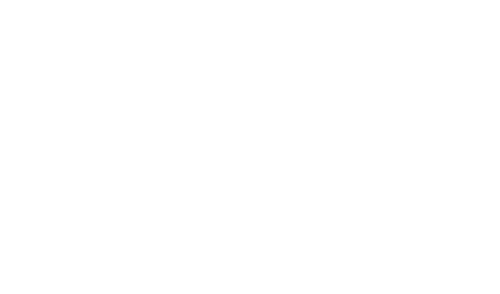 The Vineyard